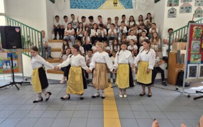 POVIST MISTA MOGA